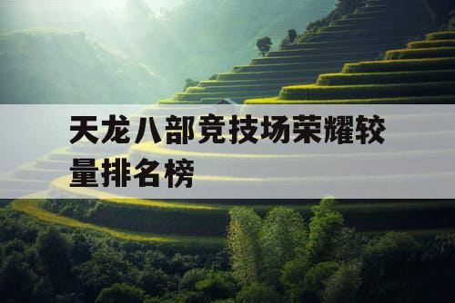 天龙八部竞技场荣耀较量排名榜