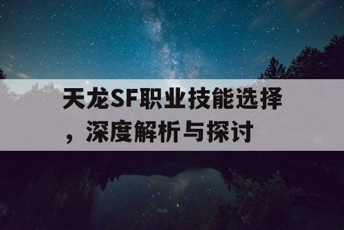 天龙SF职业技能选择，深度解析与探讨