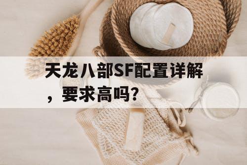 天龙八部SF配置详解，要求高吗？