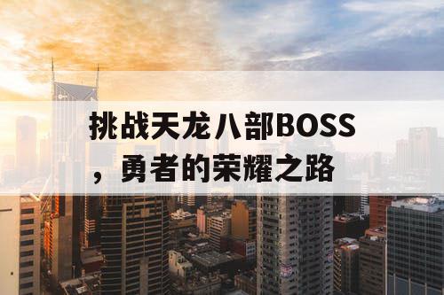 挑战天龙八部BOSS，勇者的荣耀之路