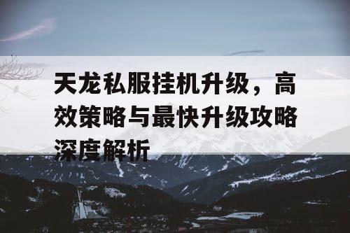 天龙私服挂机升级，高效策略与最快升级攻略深度解析