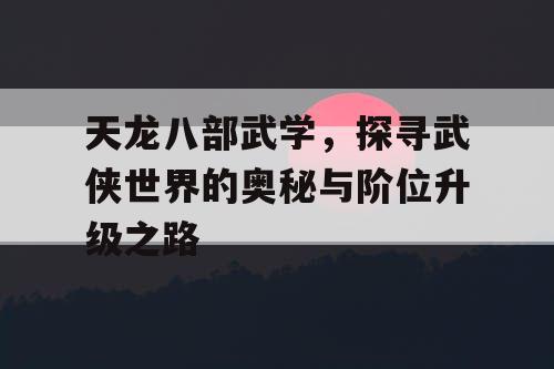 天龙八部武学，探寻武侠世界的奥秘与阶位升级之路