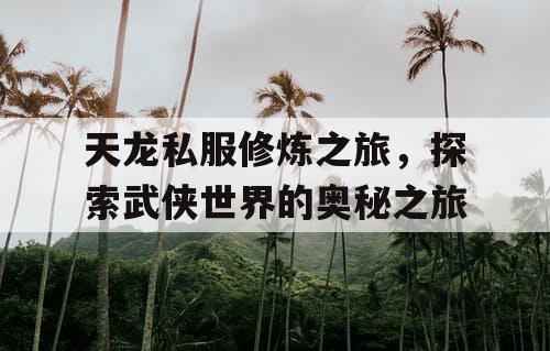 天龙私服修炼之旅，探索武侠世界的奥秘之旅