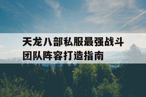 天龙八部私服最强战斗团队阵容打造指南