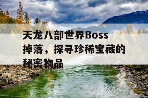 天龙八部世界Boss掉落，探寻珍稀宝藏的秘密物品