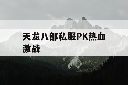 天龙八部私服PK热血激战