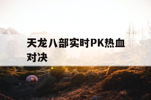 天龙八部实时PK热血对决