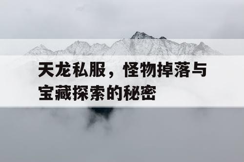 天龙私服，怪物掉落与宝藏探索的秘密