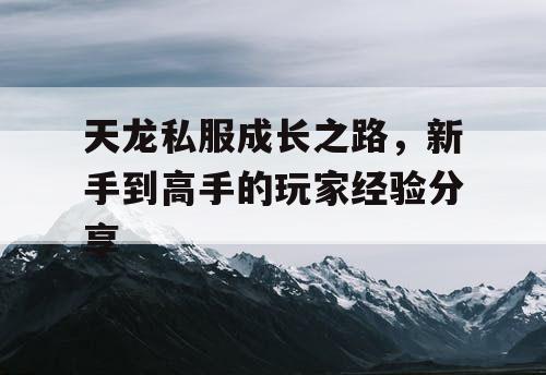 天龙私服成长之路，新手到高手的玩家经验分享