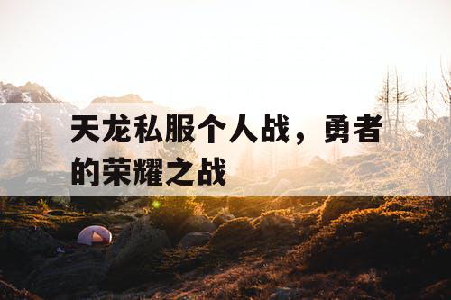 天龙私服个人战，勇者的荣耀之战