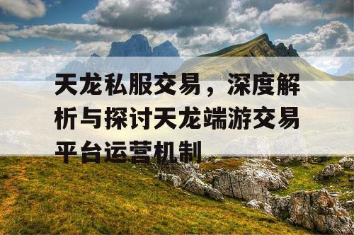 天龙私服交易，深度解析与探讨天龙端游交易平台运营机制