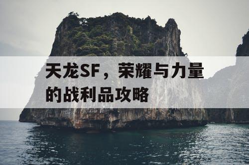 天龙SF	，荣耀与力量的战利品攻略