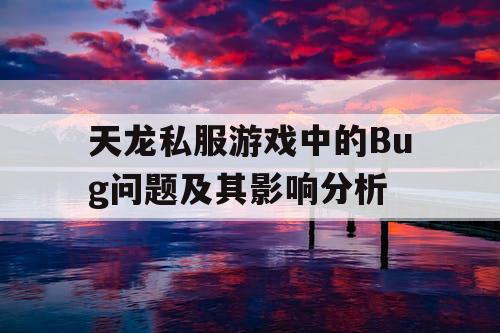 天龙私服游戏中的Bug问题及其影响分析