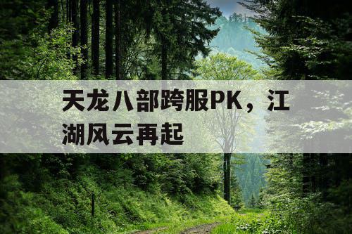 天龙八部跨服PK，江湖风云再起