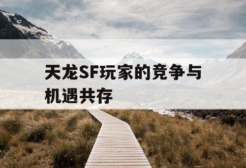 天龙SF玩家的竞争与机遇共存