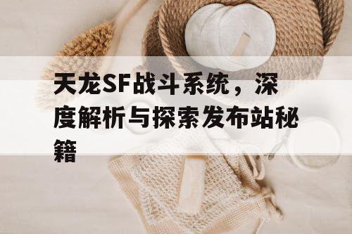 天龙SF战斗系统，深度解析与探索发布站秘籍