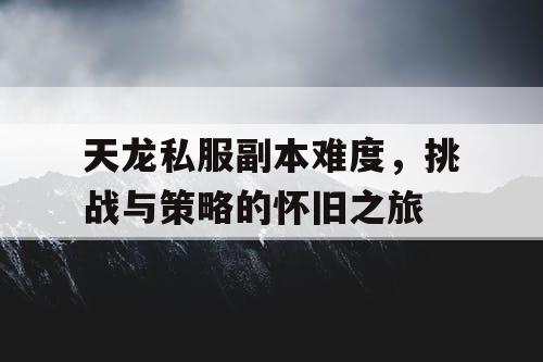 天龙私服副本难度，挑战与策略的怀旧之旅