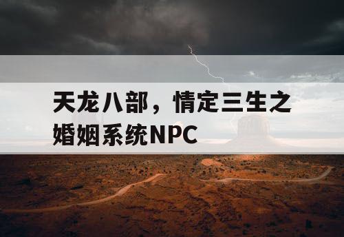 天龙八部，情定三生之婚姻系统NPC