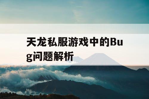 天龙私服游戏中的Bug问题解析