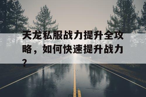 天龙私服战力提升全攻略，如何快速提升战力？