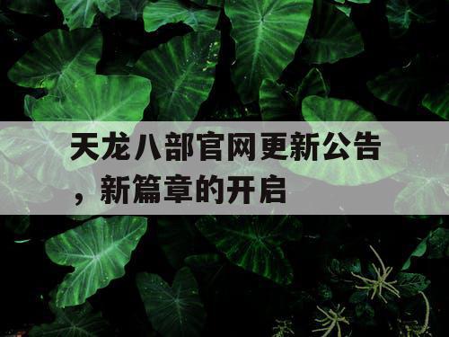 天龙八部官网更新公告，新篇章的开启