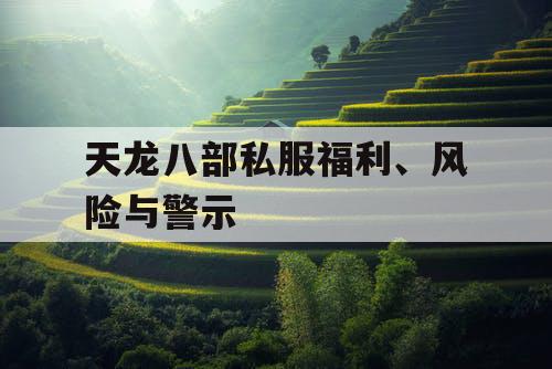 天龙八部私服福利、风险与警示