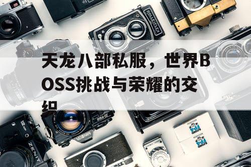 天龙八部私服，世界BOSS挑战与荣耀的交织