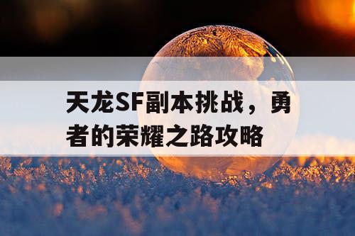 天龙SF副本挑战，勇者的荣耀之路攻略