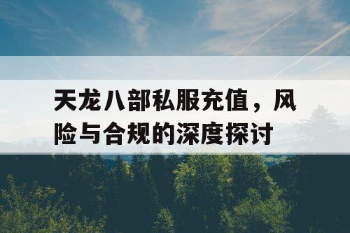 天龙八部私服充值，风险与合规的深度探讨