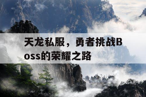 天龙私服，勇者挑战Boss的荣耀之路