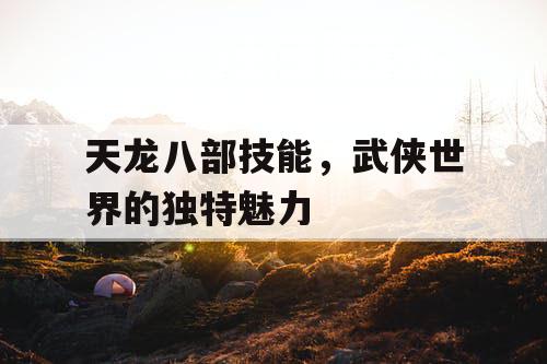 天龙八部技能，武侠世界的独特魅力