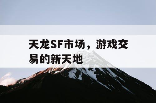 天龙SF市场，游戏交易的新天地