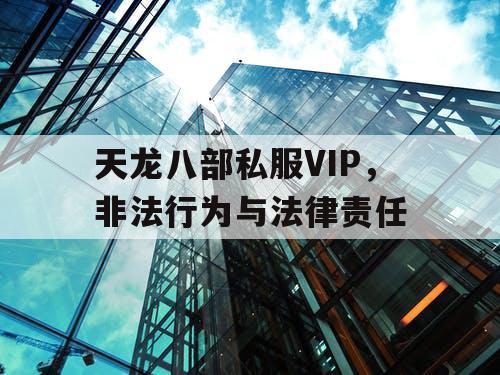 天龙八部私服VIP，非法行为与法律责任