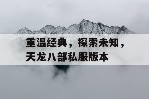 重温经典，探索未知，天龙八部私服版本