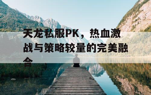 天龙私服PK，热血激战与策略较量的完美融合