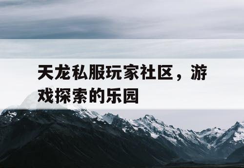 天龙私服玩家社区，游戏探索的乐园