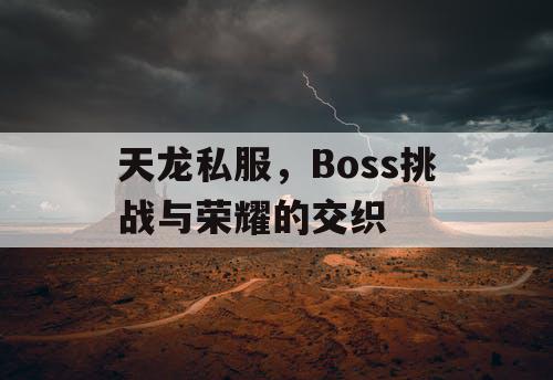 天龙私服，Boss挑战与荣耀的交织