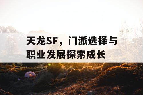 天龙SF，门派选择与职业发展探索成长