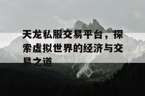 天龙私服交易平台，探索虚拟世界的经济与交易之道