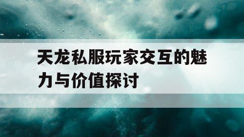 天龙私服玩家交互的魅力与价值探讨