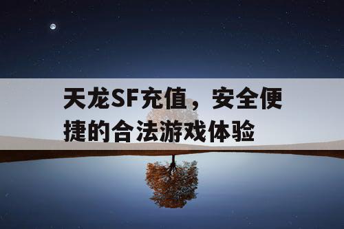 天龙SF充值，安全便捷的合法游戏体验