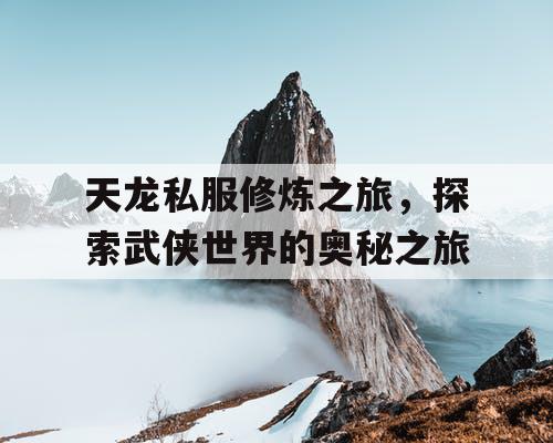 天龙私服修炼之旅，探索武侠世界的奥秘之旅