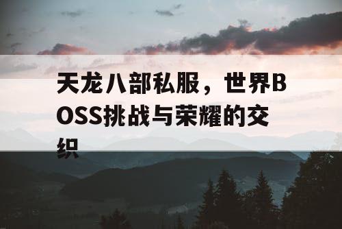 天龙八部私服，世界BOSS挑战与荣耀的交织