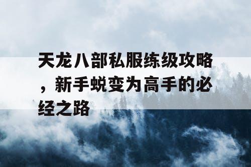 天龙八部私服练级攻略，新手蜕变为高手的必经之路